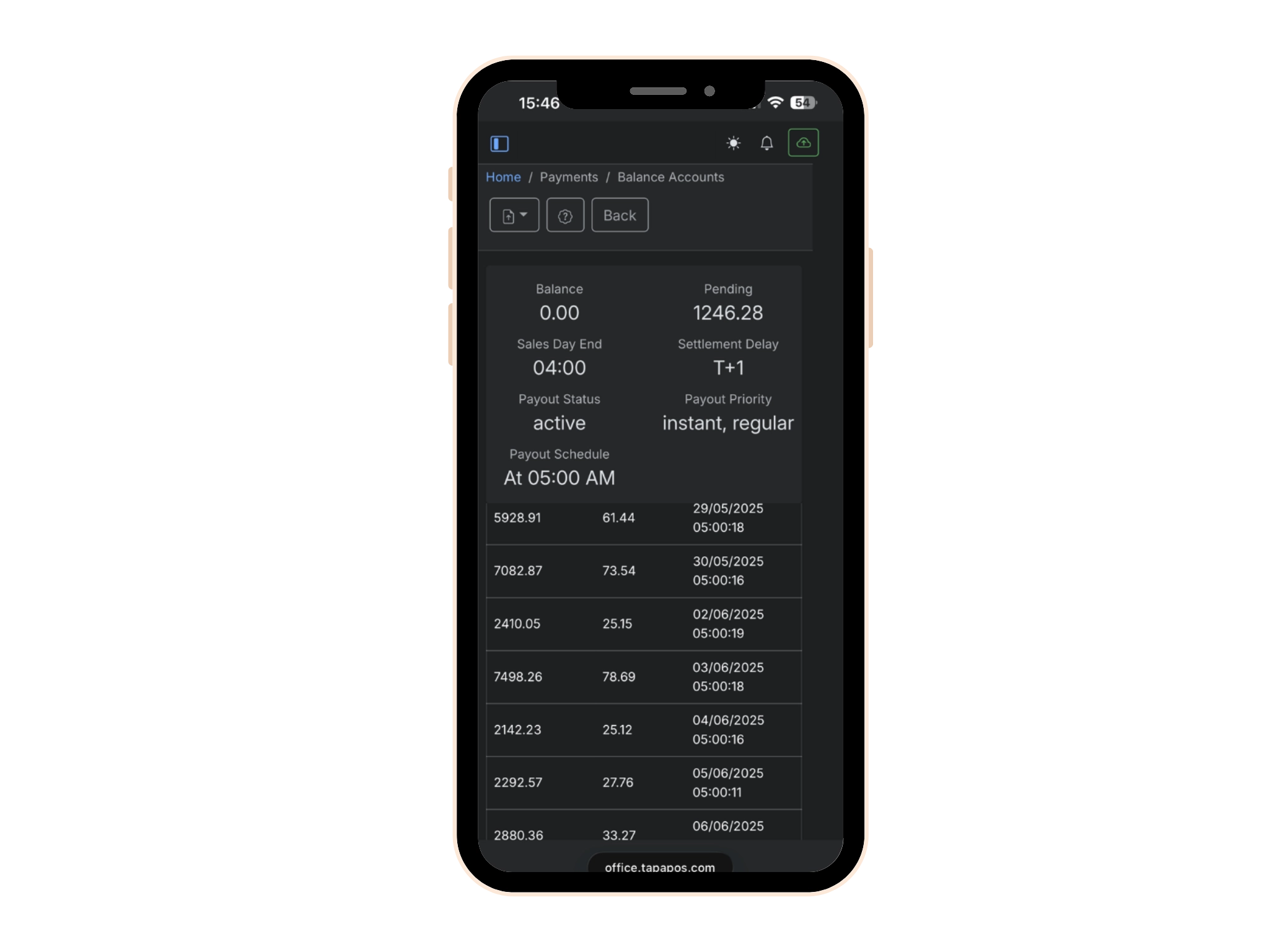 TapaPay reconciliation app showing payment reporting and transaction visibility